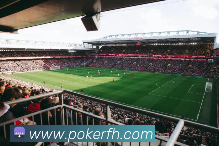 德州扑克官网平台生态图